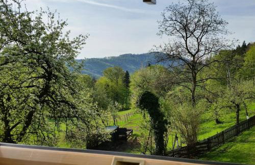 Apartament Buczyna - Foto 42