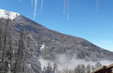 Chalet les arolles - Foto 45