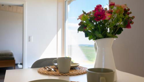 Ferienhaus am Flugplatz, umgeben von Natur - Foto 3