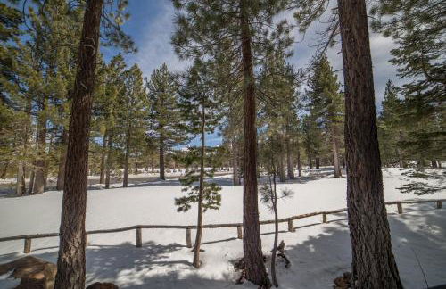 Timbers 1 Apartment - Photo 60