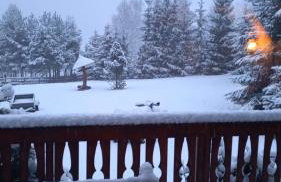 Wichrowe Wzgórze 4 - Foto 11