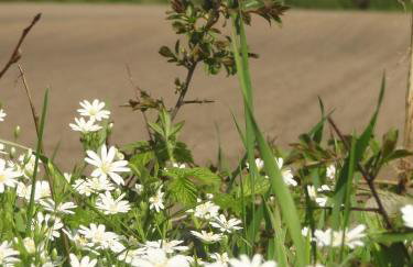 Land & Meer - Foto 21