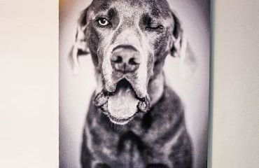 Lang Toon House - 3 bedrooms - Foto 29