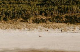 Na Górce Zamkowej - Foto 65