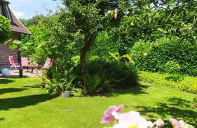 Ferienwohnung Exoten-Paradies im Garten Seggewiß - Tierfreie Nichtraucherwohnung in Raesfeld, Kreis Borken - Foto 28