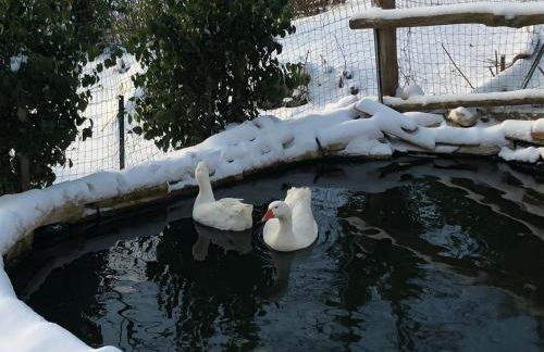 Agriturismo Il Sentiero - Foto 47