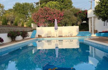 Lugar das Andorinhas - Foto 33