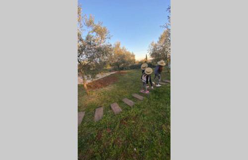 Villa Stanzietta Novigrad for 10 at Olive orchard - Foto 36