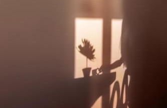 Seriphos Estate - Foto 62