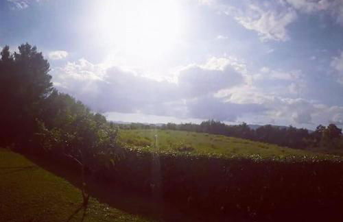 Tuscany country house, Poggio Vitale - Foto 75