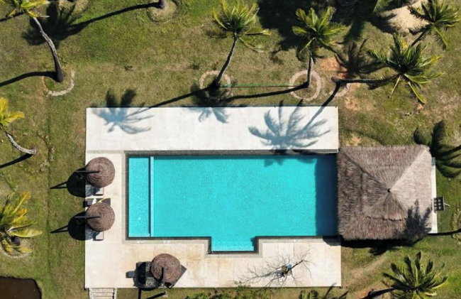 Club Mango - Foto 1