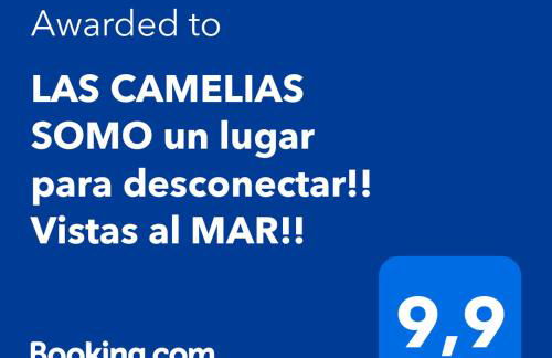 "LAS CAMELIAS SOMO" un lugar para desconectar!! Vistas al MAR!! - Foto 4