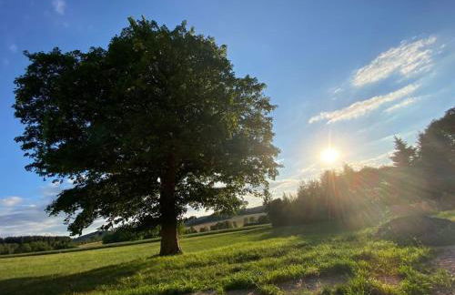 Ferienwohnung Sonnenhof - Foto 22
