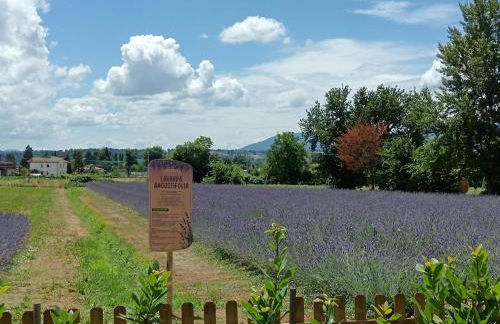 L'Antico Fienile - Foto 10