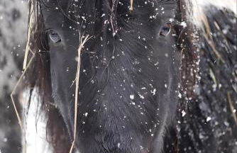 Ferienhaus Kleine Auszeit - Foto 10