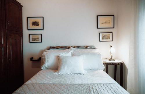 Olive Roots - Foto 55