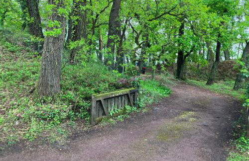 VILLA LE TOUQUET EN FORET - Foto 38
