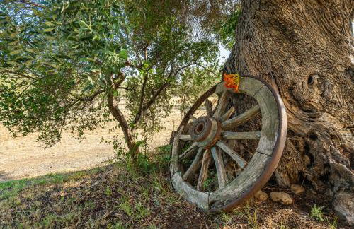 Villa Oliveto - Foto 24