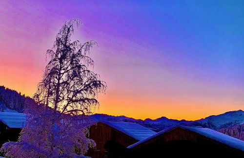 APPARTEMENT PLEIN SUD AUX SAISIES n3 - Foto 35