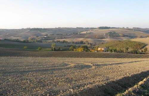 Il Giardino degli Ulivi - Foto 113