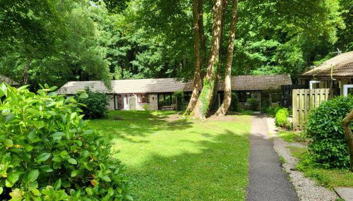 Bumbeldink - Foto 2, Garden