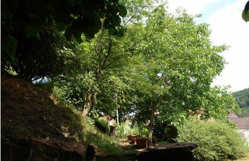 Haus Marta - Photo 47