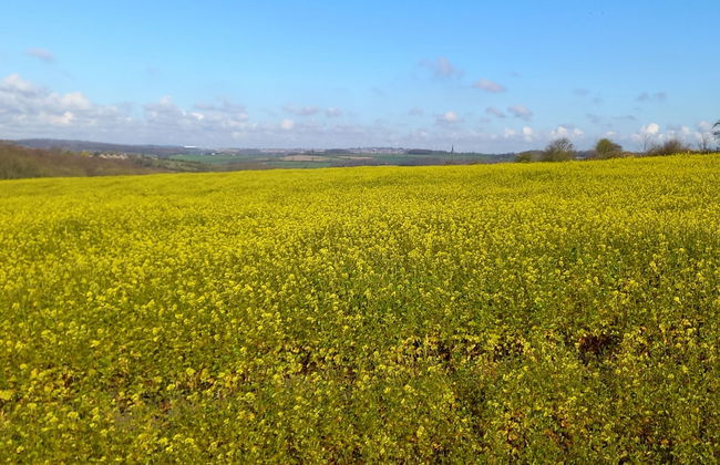 Charming Wentworth Lodge With Countryside Views - Photo 19