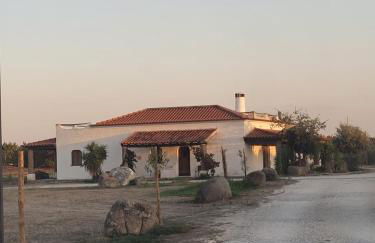 Quinta da Belavista - Foto 48