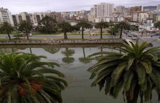 Departamento Rapa Nui - Photo 21