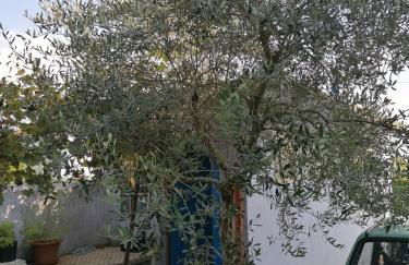 Casa Beatrice - Foto 6