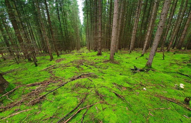 Ferienhaus in Tannesberg for 4 Personen - Foto 22