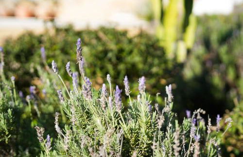 Cliffside Boho Villa - Foto 25