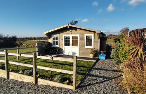 Bumble Bee Cabin - Foto 1