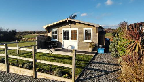 Bumble Bee Cabin - Foto 1