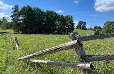 Lake House Borowe - Foto 64