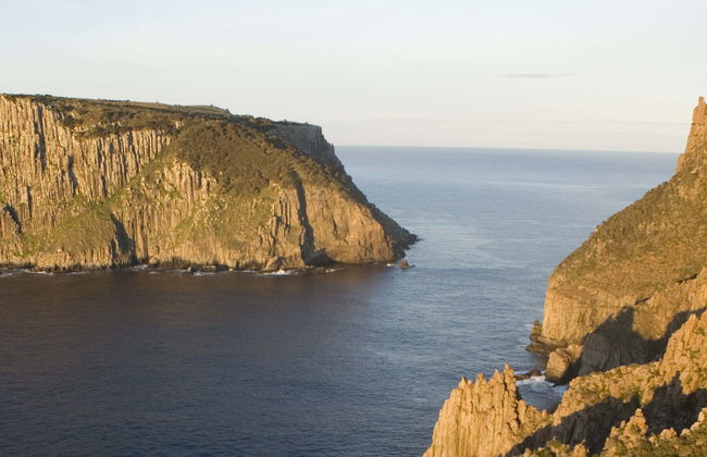 Giro in barca all'isola Tasman - Foto 1