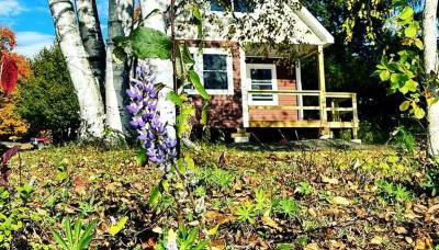 Magnificent Cabin Nestled Amidst Trees in Portage Lake, Maine - Foto 4