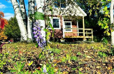Magnificent Cabin Nestled Amidst Trees in Portage Lake, Maine - Foto 4