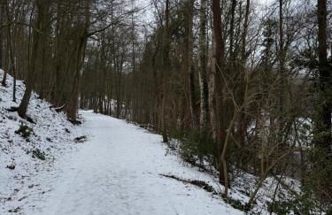 Design-Apartment in See-Nähe - Klima - nah Bremen - Photo 25