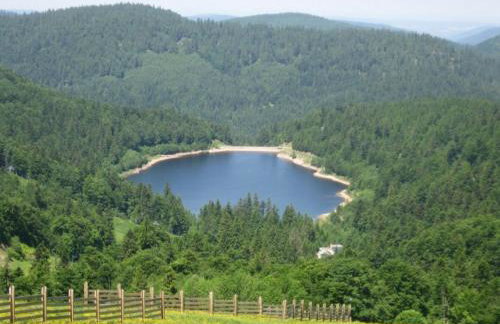 Chalet familial dans le Parc des Vosges, wifi et animaux acceptés - FR-1-589-840 - Foto 35