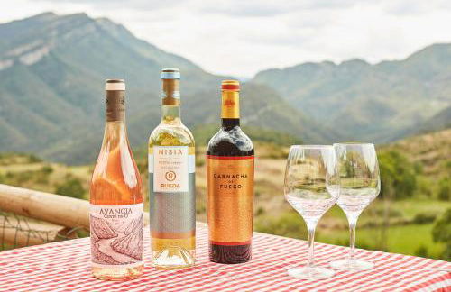 CASA Guardafuentes de Ordesa - Foto 38