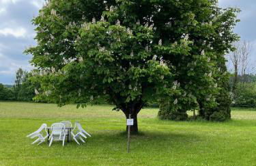 Ferienwohnung Antonie - Foto 9