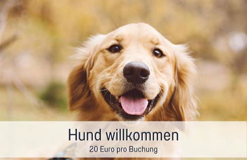 Landloft Linum - Ausgebaute Scheune mit Aussicht, Naturpool, Kamin, Sauna, Luxusausbau, handverlesene MidCentury Möbel & Kunst - Photo 59