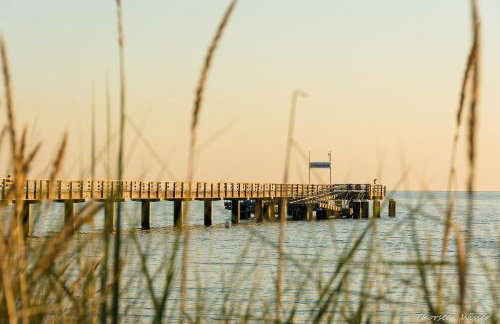 Treibholz - Feriendomizil Ostsee - Foto 45