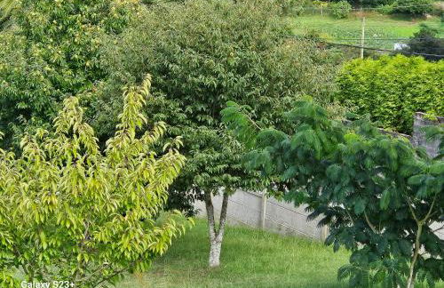 MUÍÑOS DO MAR - Foto 14