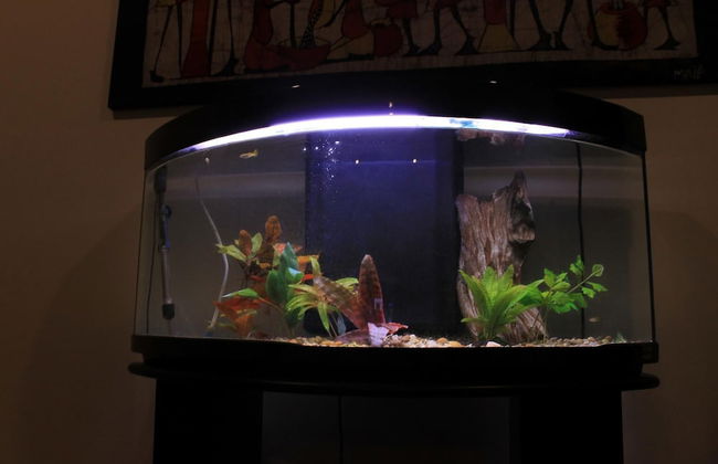 Funchal Bay View Villa by Homie - Foto 13