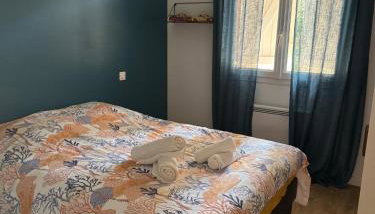 Cocon landais avec jaccuzi - Foto 4