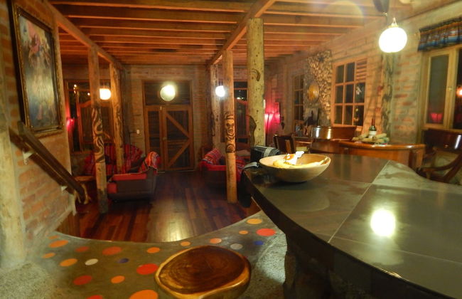 Dogs and Fish Dream Land - Foto 22