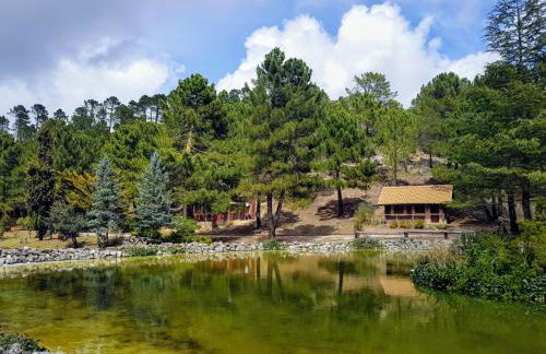 La cabaña del lago en ZAFIRO LAGUNAZO Parque Natural del Río Mundo - Foto 56