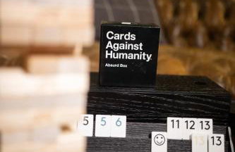 NEW Slytherin Studio - Dogs OK - Foto 31